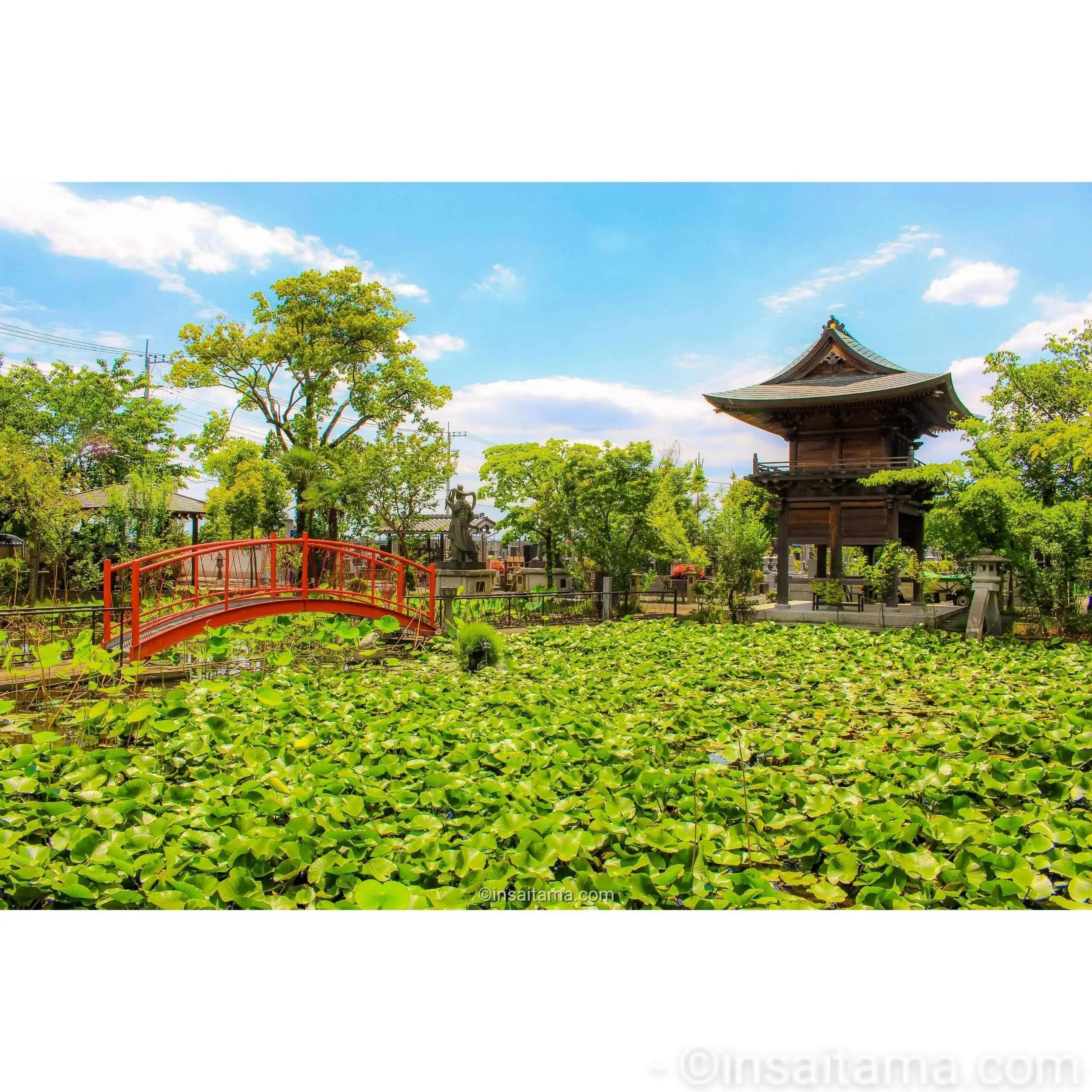 🏞️ 이누마 공원(이사누마 코엔) 이미지 9